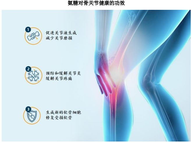 根运动健康赛道凭多元布局赢长远未来麻将胡了HMB全球龙头技源集团:扎(图8) 根运动健康赛道凭多元布局赢长远未来麻将胡了HMB全球龙头技源集团:扎(图8)