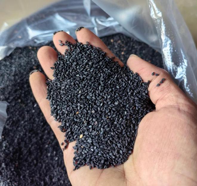 美味！黑芝麻营养、功效及食谱指南麻将胡了